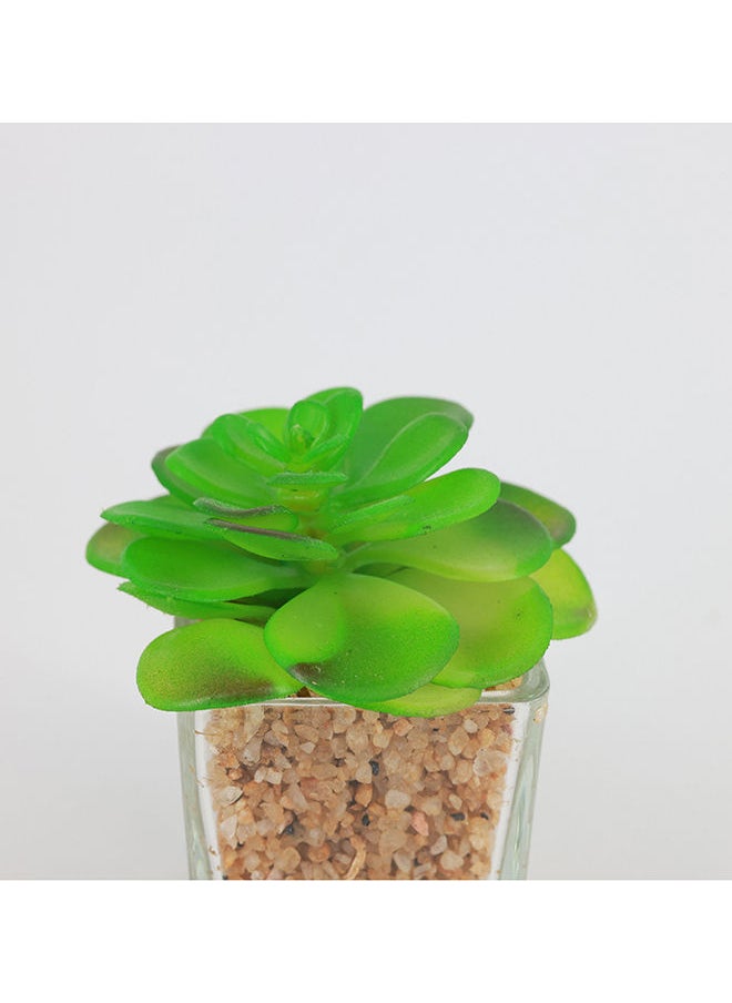 Rahalife Artificial Succulent Bonsai  - Image 3