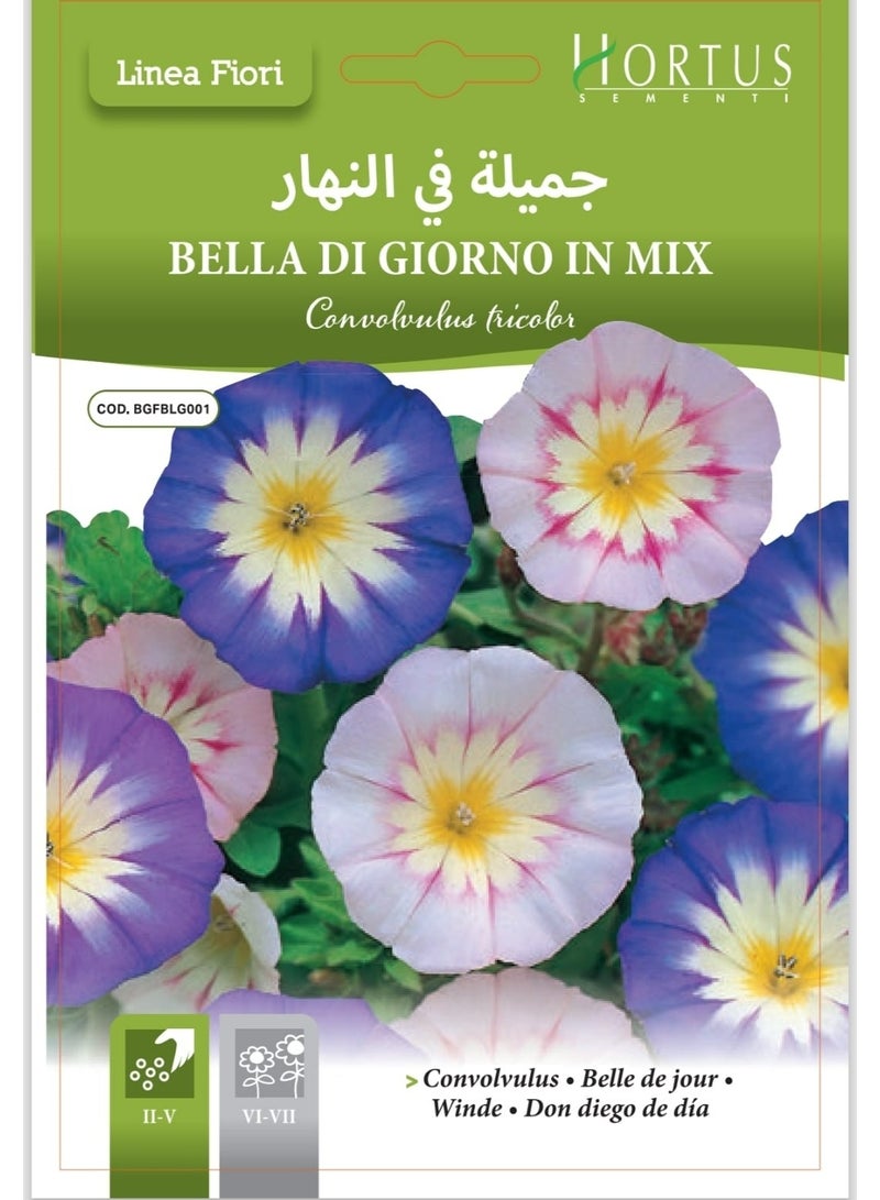 Dayflower Seeds