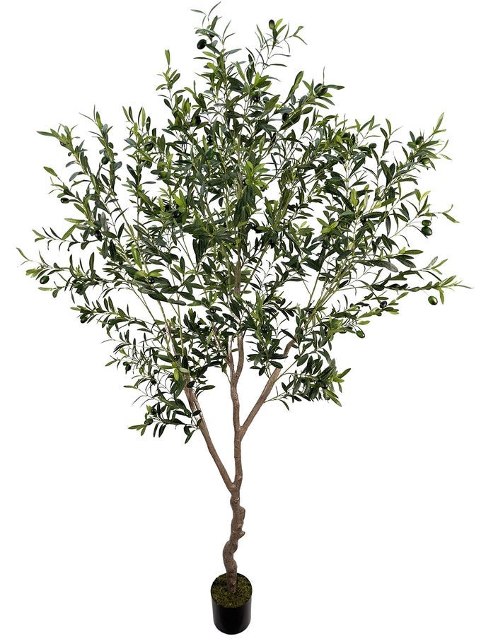 ARTIFICIAL OLIVE TREE 7FT82IN2200UV PROTECTION LEAF TALLFAUX OLIVE TREE INDOOR ARTIFICIAL TREE FOR MODERN HOME OFFICE LIVING ROOM FLOOR DECOR INDOOR