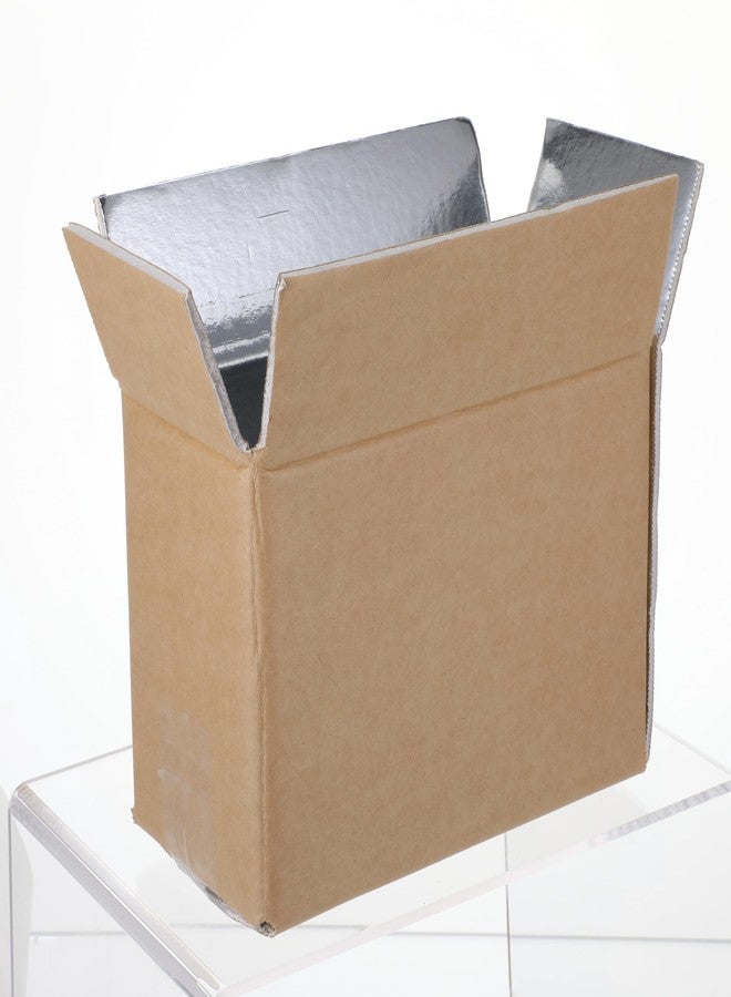 AojSup 10 Pcs Insulated Shipping Box Cold Chill Double Insulated Carton with Foil Foam Cooler Boxes Delivery Moving Kits Foam Shipping Containers for Mailing Packing, Box Inside 8.66 x 4.52 x 6.3 in - Image 4