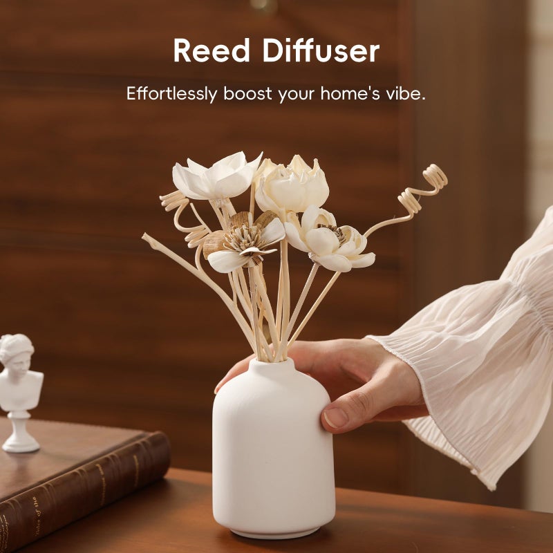 Jear pean Reed Diffuser Sticks, Reed Diffuser Sticks Flowers, Reed Diffusers Set for Bathroom, Reeds Diffuser for Home, Bedroom Decor, Office,12Pcs, Natural Flower - Image 3