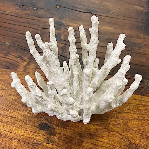 Abbott Collection 20-SEASHORE/40 Large White Flower Coral Decorative Resin Figurine - Image 4