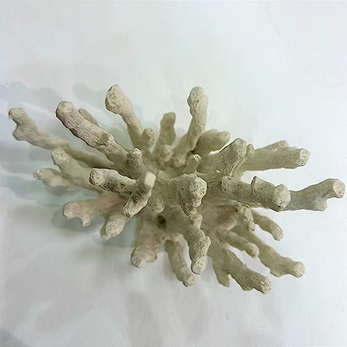 Abbott Collection 20-SEASHORE/40 Large White Flower Coral Decorative Resin Figurine - Image 5