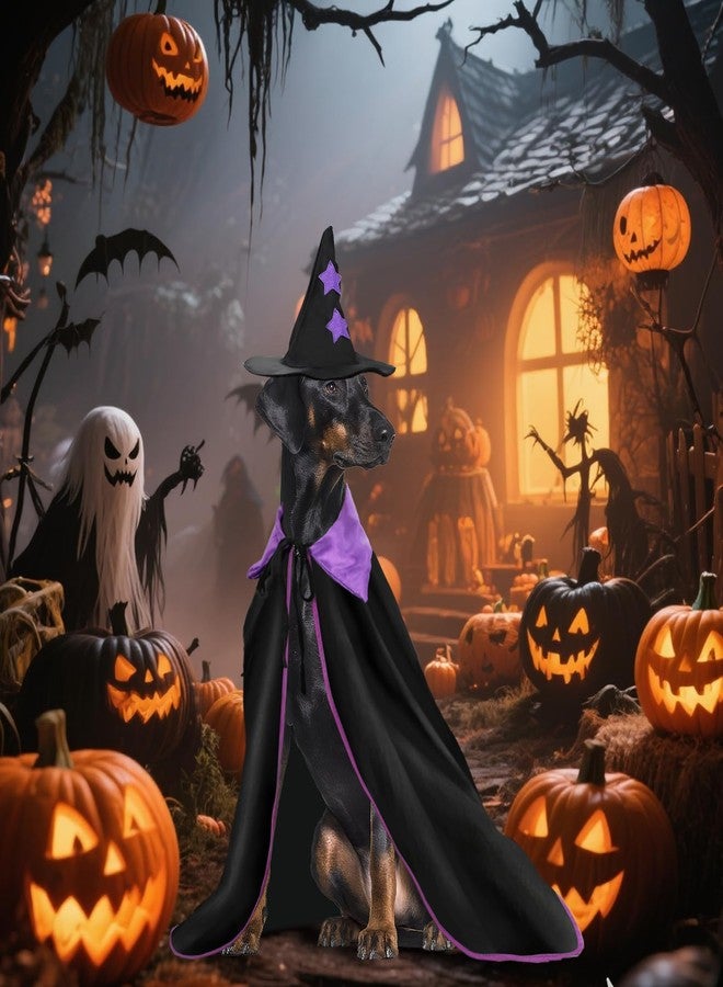 ريبيت زيّ ساحرة للكلاب من رايبت للهالوين، طقم أزياء هالوين للكلاب مع عباءة وقبعة على شكل نجمة، عباءة ساحرة للكلاب الكبيرة والمتوسطة، زيّ للحيوانات الأليفة لحفلات الهالوين، زيّ ساحر وساحرة تنكري. - Image 5
