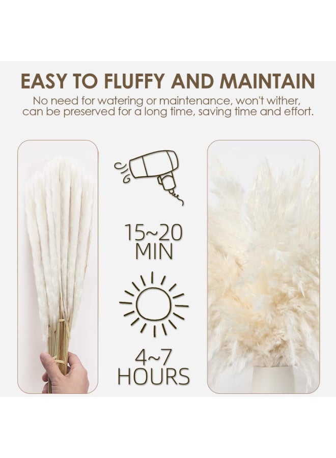 Arabest 20PCS White Pampas Grass Decor, Natural Dried Short Pampas Grass, Boho Neutral Home Decor Bouquet, Fluffy Pampas Grass for Floor Vase Wedding Floral Arrangements Wall Farmhouse Table Decor - Image 3