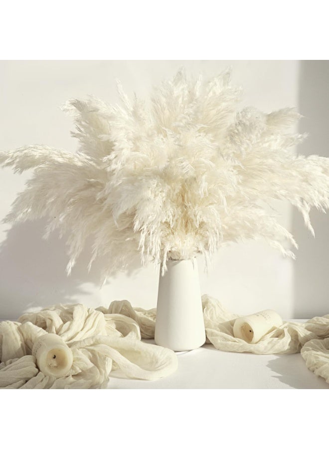 Arabest 20PCS White Pampas Grass Decor, Natural Dried Short Pampas Grass, Boho Neutral Home Decor Bouquet, Fluffy Pampas Grass for Floor Vase Wedding Floral Arrangements Wall Farmhouse Table Decor - Image 1