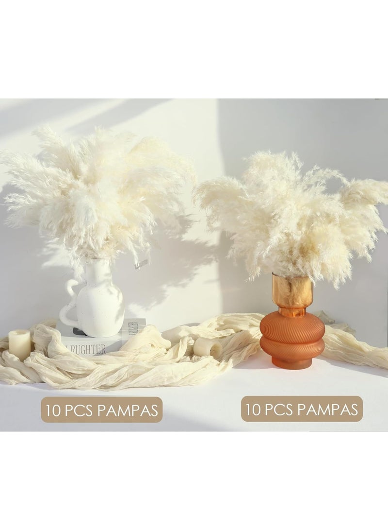 Arabest 20PCS White Pampas Grass Decor, Natural Dried Short Pampas Grass, Boho Neutral Home Decor Bouquet, Fluffy Pampas Grass for Floor Vase Wedding Floral Arrangements Wall Farmhouse Table Decor - Image 4
