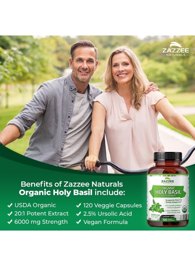 Zazzee Organic Holy Basil Tulsi Extract - Image 4