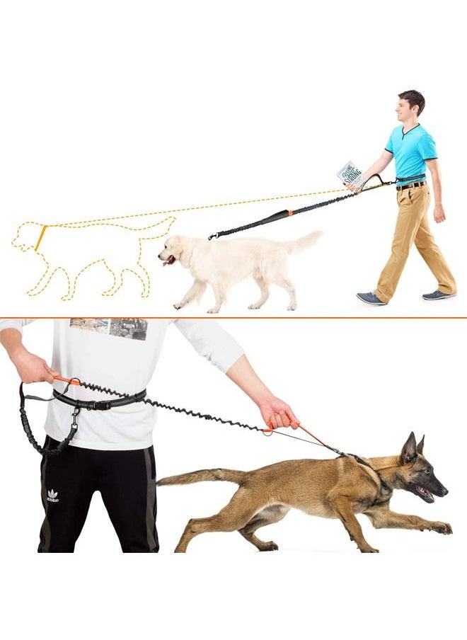 Neostyle Hands Free Shock Absorbing Elastic Dog Leash Orange