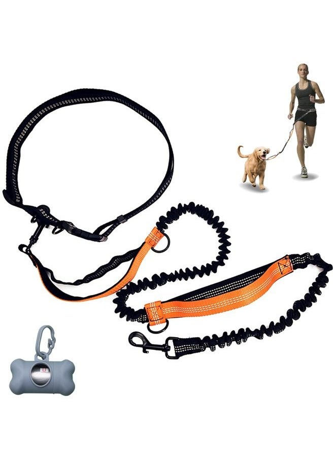 Neostyle Hands Free Shock Absorbing Elastic Dog Leash Orange