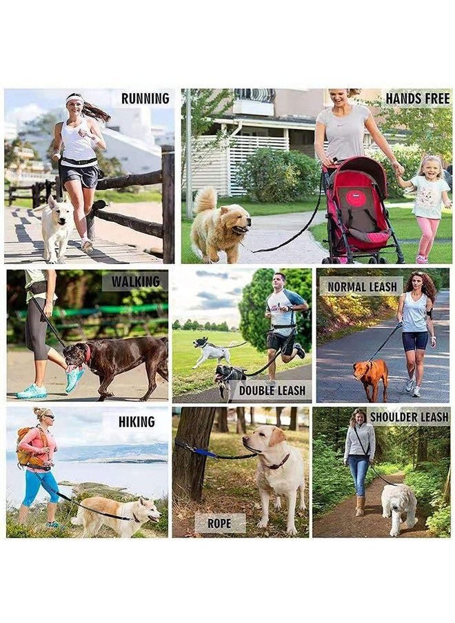 Neostyle Hands Free Shock Absorbing Elastic Dog Leash Orange