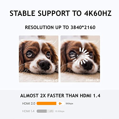 PENGLIN 10Pack HDMI Panel Mount Coupler, HDMI D-Type Pass Through Connector, Female to Female 4K Adapter, Bulkhead Extension 4K 60hz 3D and HDR with Cap - Image 5
