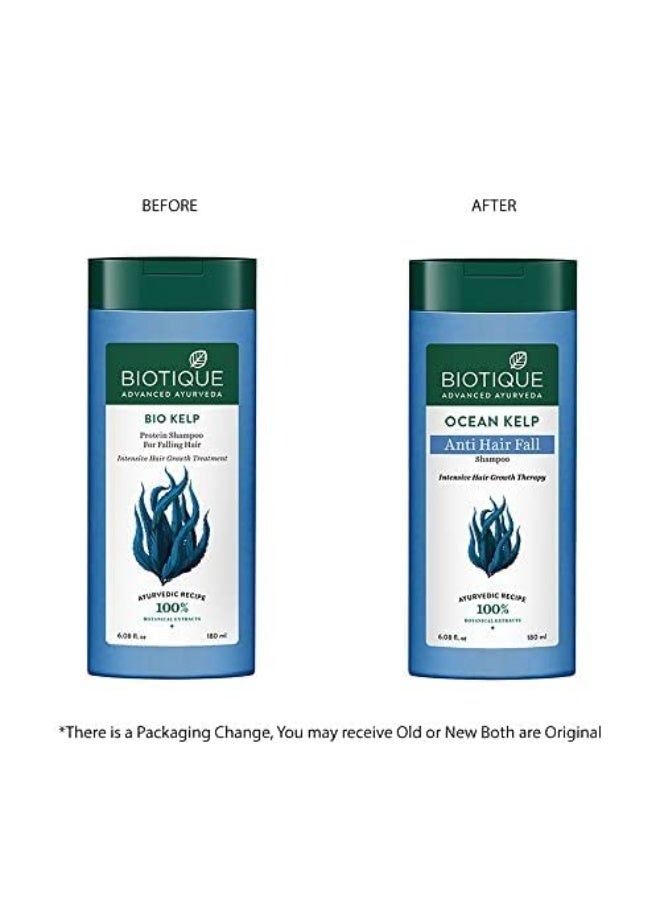 بيوتيك شامبو "بيوتيك" (Biotique) بخلاصة عشب البحر (Ocean Kelp) المضاد لتساقط الشعر | علاج مكثف لنمو الشعر | شامبو يمنع التساقط ويحافظ على لمعان الشعر | مستخلصات نباتية طبيعية 100% | مناسب لجميع أنواع الشعر | 180 مل - Image 2
