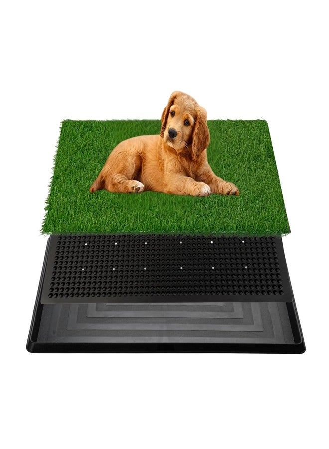 FluffyDream وسادة عشب صناعي للكلاب من FluffyDream مع صينية، مقاس 16 × 20 بوصة، وسادة تدريب ثلاثية الطبقات، وسادات تبول للكلاب، خالية من الروائح، صندوق فضلات للكلاب للاستخدام الداخلي في الشرفات والشقق - Image 1