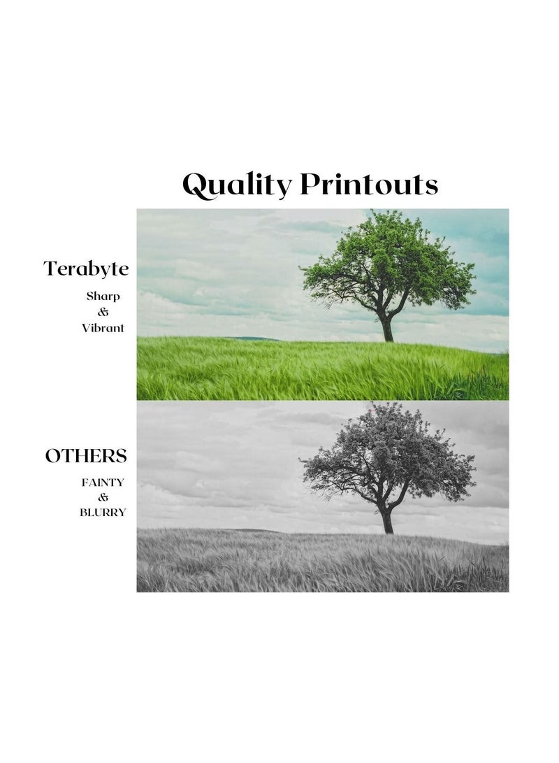 Terabyte MPC2004/2503 (4COLORS) COMPATIBLE TONER TERBYTE - Image 2