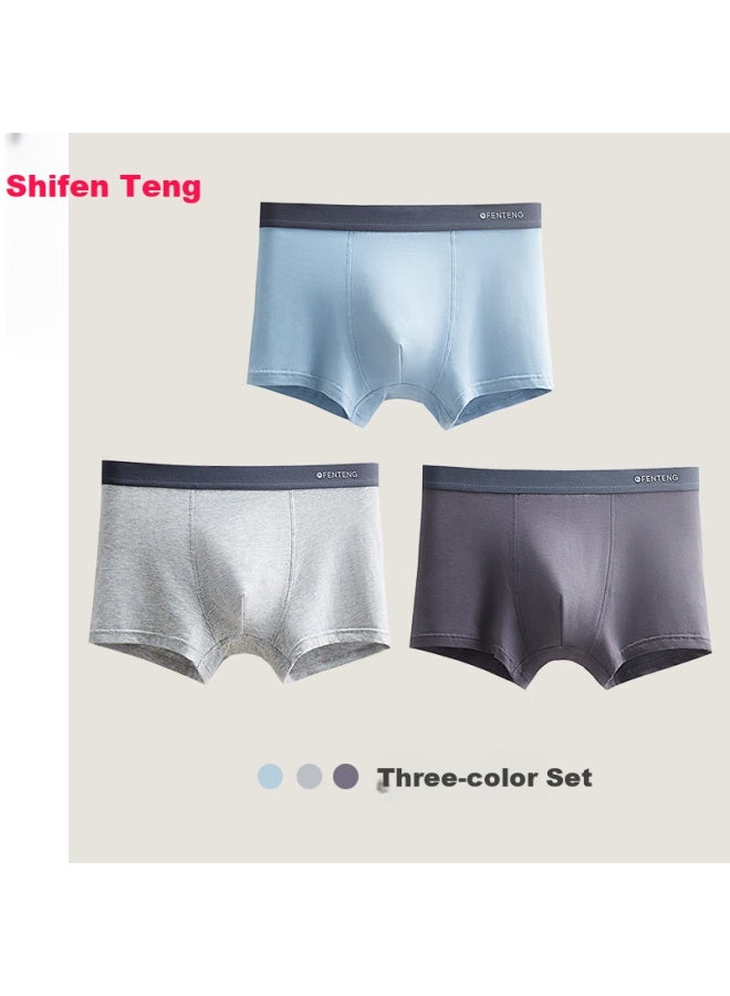 Fenton Fenteng Men's Cotton Breathable Antibacterial Loose Boxer Shorts Big Size Four-corner Pants Set Of Five 3-pack 4XL - Image 2