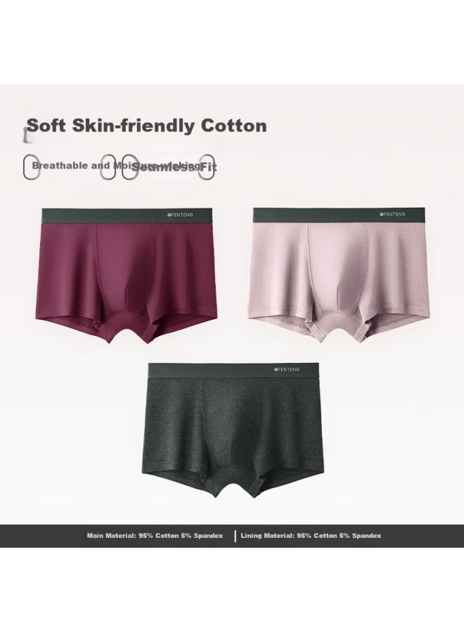 Fenton Fenteng Men's Cotton Breathable Antibacterial Loose Boxer Shorts Big Size Four-corner Pants Set Of Five 3-pack 4XL - Image 1