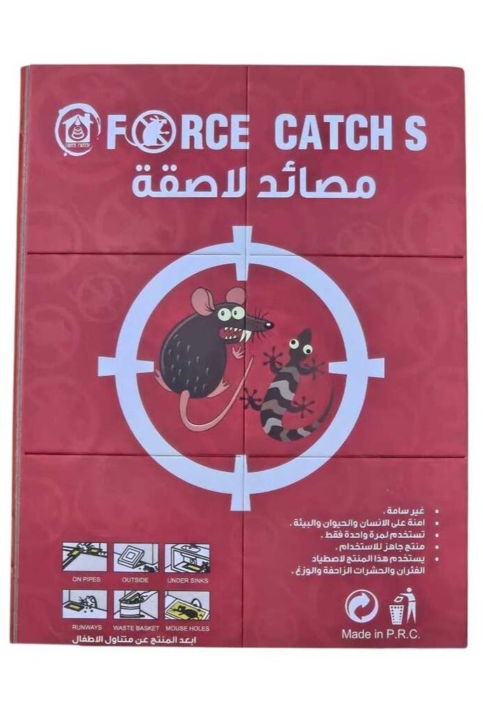 فورس كاتش اس مصيدة لاصقة لصيد الفئران