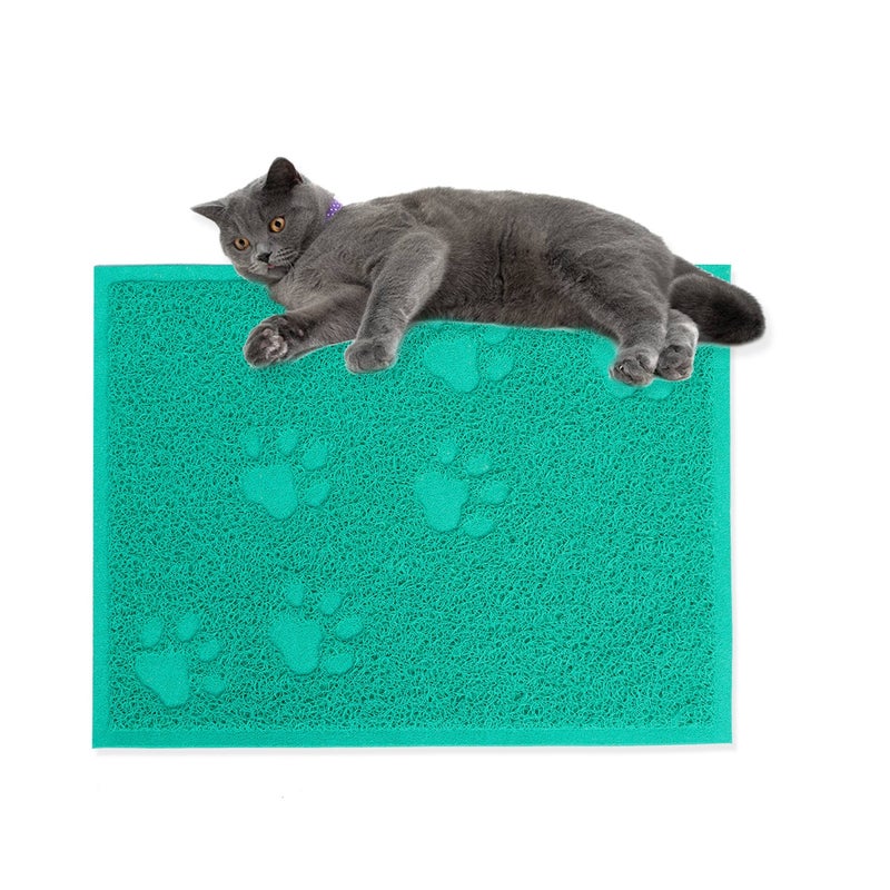 30 x 40cm Pet Puppy Dog Cat Litter Mat Claws Pet Small Footprint Foot Sleeping Pad Placemat Cleaning Carpet (Lake ) - Image 2
