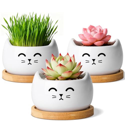T4U Cat Planter 38 Inch 3 Pcs Cute Cat Small Plant Pots for Indoor Plants Mini Cat Succulent Pots for Plants Ceramic Succulent Planters with Drainage Tiny Flower Pots - Image 1