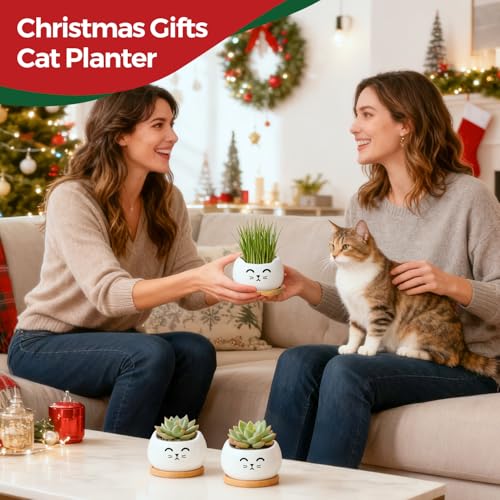 T4U Cat Planter 38 Inch 3 Pcs Cute Cat Small Plant Pots for Indoor Plants Mini Cat Succulent Pots for Plants Ceramic Succulent Planters with Drainage Tiny Flower Pots - Image 3