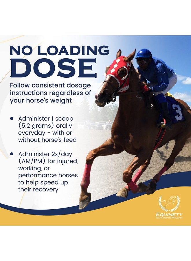 Equinety 100-Day Supply Horse XL Horse Supplements - Horse Care W/ 8 Essential Amino Acids to Promote Cellular Repair - No Soy or Sugar Coat Defense for Horses - Horse Joint Supplement & Horse Hoof Supplements  - Image 5