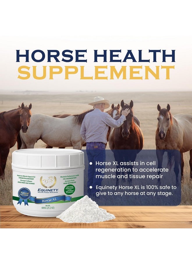 Equinety 100-Day Supply Horse XL Horse Supplements - Horse Care W/ 8 Essential Amino Acids to Promote Cellular Repair - No Soy or Sugar Coat Defense for Horses - Horse Joint Supplement & Horse Hoof Supplements  - Image 2