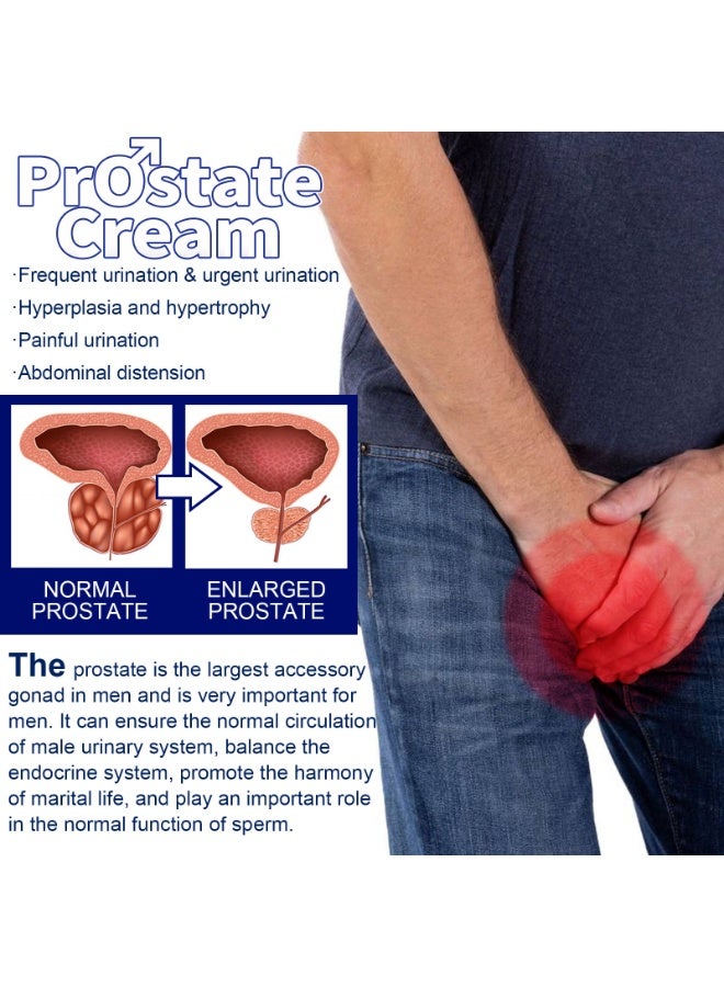 Best Men's Prostate Care Cream (20g) - Natural Herbal Formula, Relieves Discomfort, Improves Frequent Urination, Supports Prostate Health, Men-Specific Care Cream - Image 4