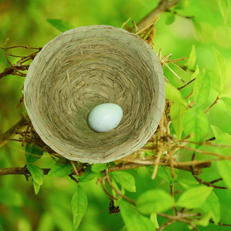 Flat Base Woven Straw Bird Nest 23cm Diameter Anti Tip Pigeon Dove Breeding Cage Supply - Image 5