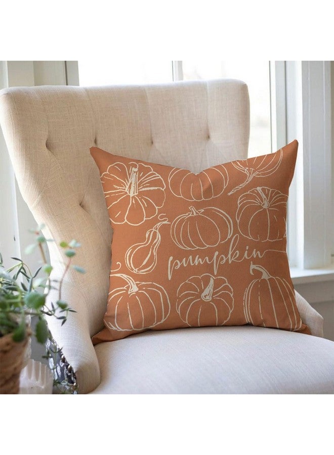 PANDICORN Boho Orange and Sage Green Pumpkin Hello Fall Throw Pillow Covers 18x18 Inch Pampas Floral Outdoor Farmhouse Cottage Autumn Decorations Decorative Pillows Cases Set of 4 for Home Room Decor - Image 5