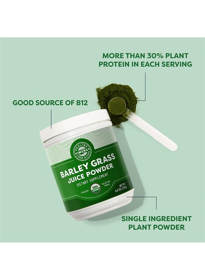 Vimergy Barley Grass Juice Powder – Clean Superfood Formula – Promotes Cardiovascular Health* – Organic, Vegan & Gluten-Free – Regular Size 250g - Image 2