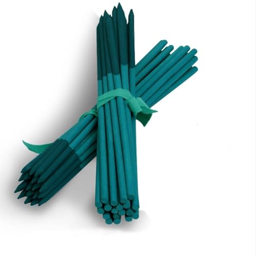 BLOOMAX® Hardwood Plant Support Sticks, Lengths-2 ft/14mm, Pack of-12 pcs- with Free Twist Ties - Image 1