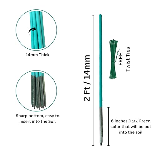 BLOOMAX® Hardwood Plant Support Sticks, Lengths-2 ft/14mm, Pack of-12 pcs- with Free Twist Ties - Image 2