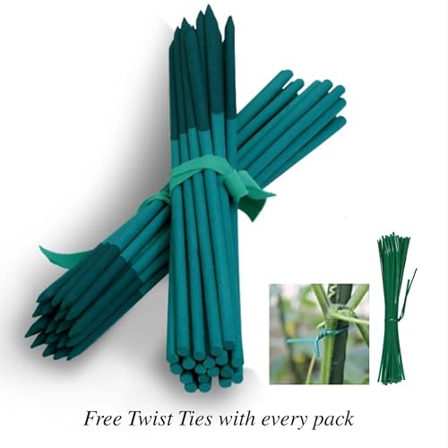 BLOOMAX® Hardwood Plant Support Sticks, Lengths-2 ft/14mm, Pack of-12 pcs- with Free Twist Ties - Image 4