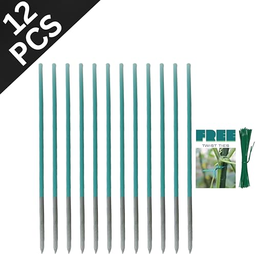 BLOOMAX® Hardwood Plant Support Sticks, Lengths-2 ft/14mm, Pack of-12 pcs- with Free Twist Ties - Image 3