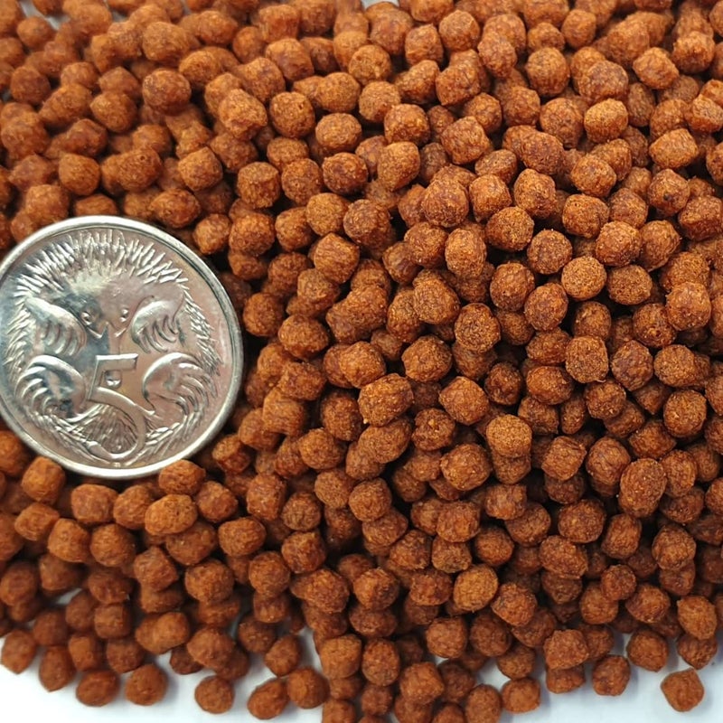 VAYINATO Ocean Free XO Green (Original) Fish Food, 280ML/100G | Increase Head Growth and Shape for Flowerhorn Fish by Petzlifeworld - Image 5