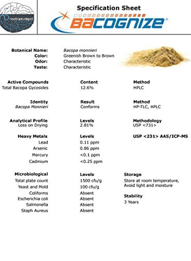 Nootropics Depot BaCognize Bacopa Monnieri 300mg Capsules (120 Count) Ayurvedic Herb Non-GMO, Gluten Free, and Vegetarian Friendly - Image 4