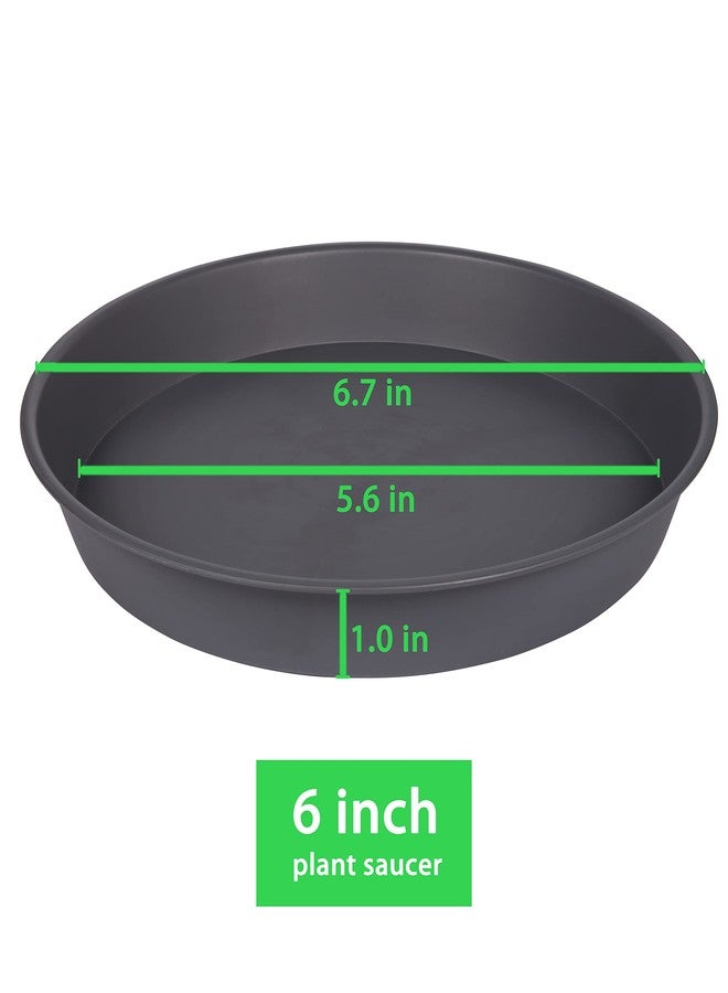 Bleuhome 6 Pack Planter Saucer Tray Gray, 4 6 8 10 12 13 15 17 19 inch Pot Saucers, Heavy Duty Plastic Plant Saucers for Indoors, Plant Drip Tray, Plant Trays for pots Planter (6 inch, Cement) - Image 2