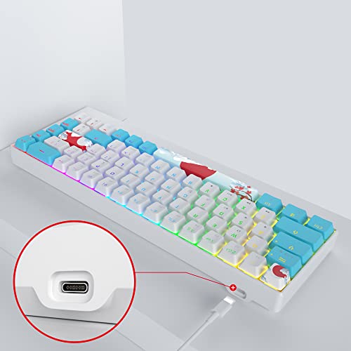 Owpkeenthy Wired 65% Mechanical Gaming Keyboard with Blue Switch 60% Ultra Compact RGB Gaming Keyboard Backlit Keys N-Key Rollover for PC PS5 Xbox(Blue/ 68 Blue Switch) - Image 5