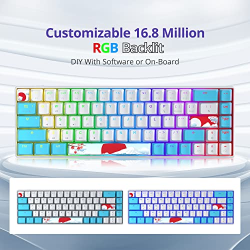 Owpkeenthy Wired 65% Mechanical Gaming Keyboard with Blue Switch 60% Ultra Compact RGB Gaming Keyboard Backlit Keys N-Key Rollover for PC PS5 Xbox(Blue/ 68 Blue Switch) - Image 3
