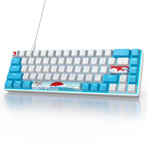Owpkeenthy Wired 65% Mechanical Gaming Keyboard with Blue Switch 60% Ultra Compact RGB Gaming Keyboard Backlit Keys N-Key Rollover for PC PS5 Xbox(Blue/ 68 Blue Switch) - Image 1