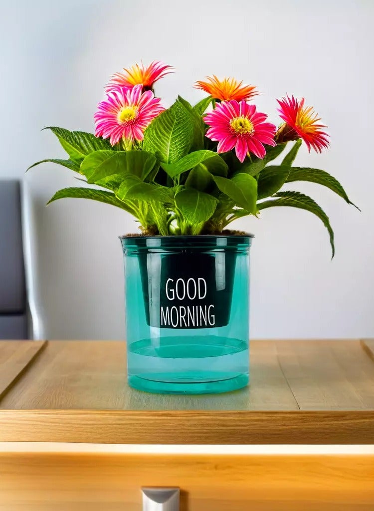 ڤسيل24 AutoWater Bloom، زارع مائي ذاتي السقي - وعاء زهور شفاف بطبقة مزدوجة من الراتنج لنمو النباتات بدون جهد، أخضر  - Image 4