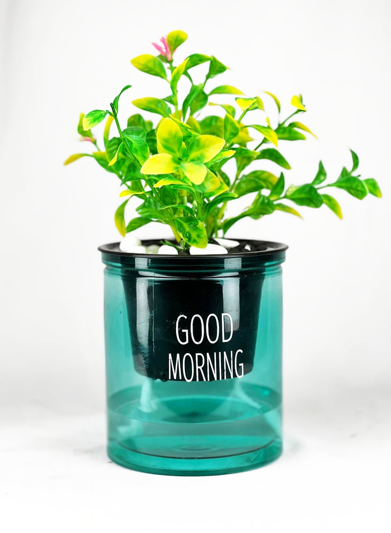 ڤسيل24 AutoWater Bloom، زارع مائي ذاتي السقي - وعاء زهور شفاف بطبقة مزدوجة من الراتنج لنمو النباتات بدون جهد، أخضر  - Image 2