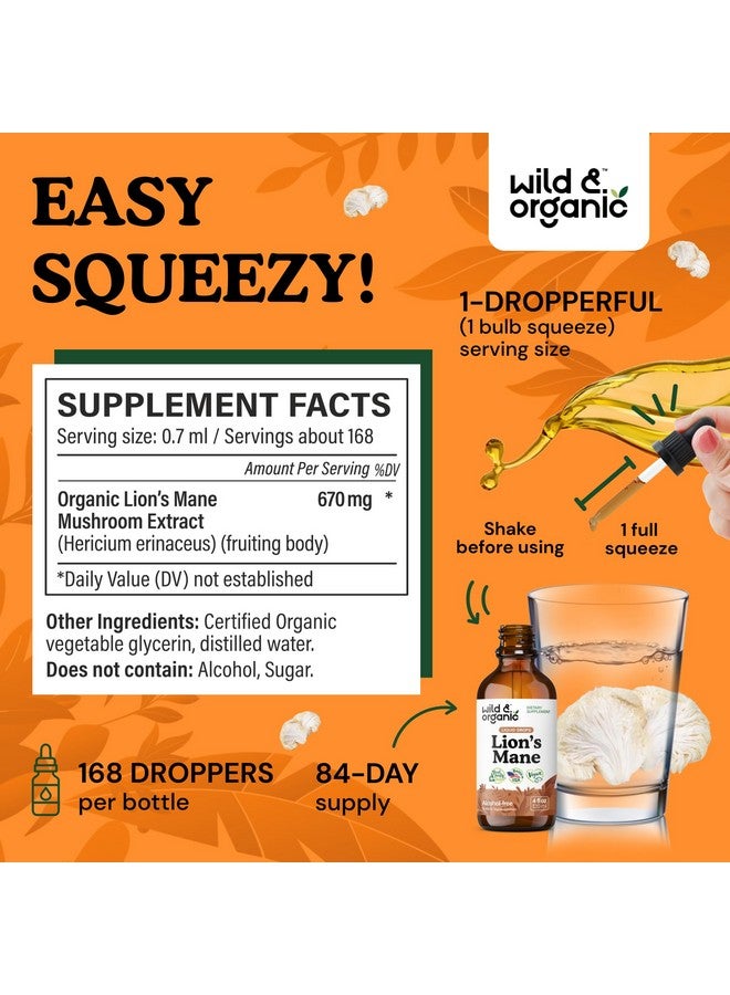 Wild & Organic Lions Mane Liquid Drops - Brain & Focus Support - Lion's Mane Mushroom Supplement - Hericium Erinaceus Mushroom Drops - Vegan, Sugar & Alcohol-Free Extract Tincture - 4 fl oz - Image 3