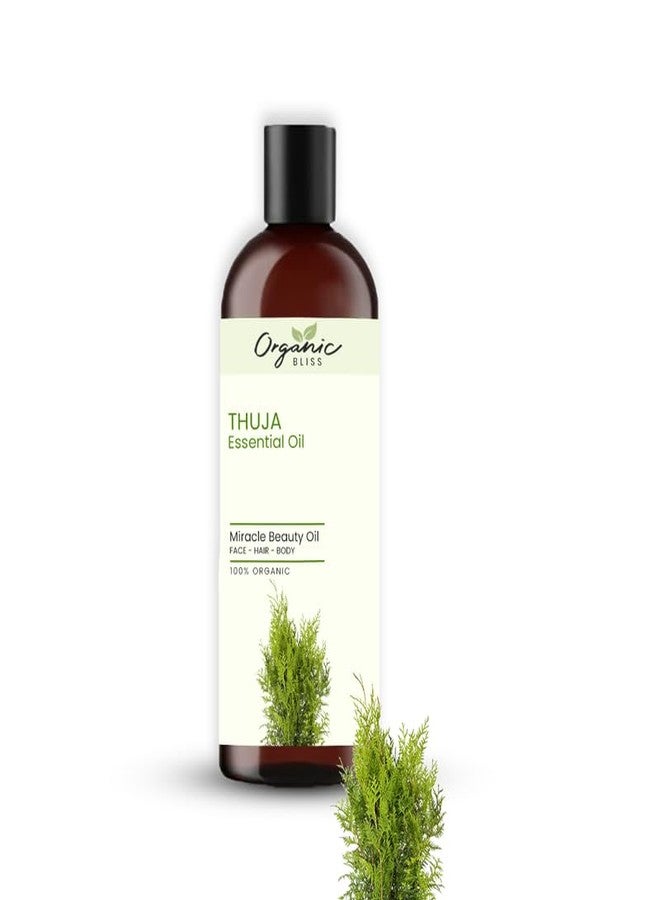اورجانيك بليس زيت الثوجا العطري العضوي من أورجانيك بليس، زيت عطري علاجي نقي وطبيعي 100% للعناية بالشعر والبشرة، وتخفيف التوتر والقلق، والعلاج بالروائح العطرية (50 مل). - Image 1