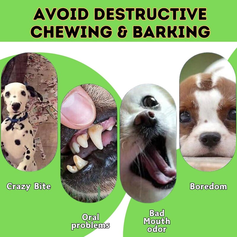 Sage Square Ice Cream Shape Smiley Interactive Pet Squeaky Toy: Durable, Safe, Fun Chew Toy for Dogs - Perfect for Playtime, Dental Health, Anxiety Relief - Ideal for Small, Medium & Large Breeds - Image 5