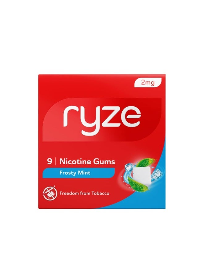 رايز RYZE Nicotine Gum 2mg | Frosty Mint | Soft Chew, Easy on Throat, Sugar Free | Aids in Quitting Smoking & Chewing | Smoking Cessation | 270 gums (9 Gums Each Pack) | Combo Pack of 30 - Image 1