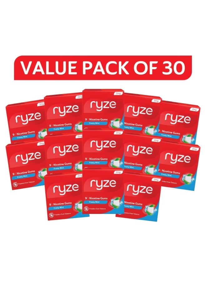 رايز RYZE Nicotine Gum 2mg | Frosty Mint | Soft Chew, Easy on Throat, Sugar Free | Aids in Quitting Smoking & Chewing | Smoking Cessation | 270 gums (9 Gums Each Pack) | Combo Pack of 30 - Image 2
