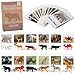 MEROCO Montessori Animal Match Miniature Forest Animal Toy Figurines with Matching Cards Montessori Language Materials Preschool Learning Toy NEWTT0010YS3 - Image 2