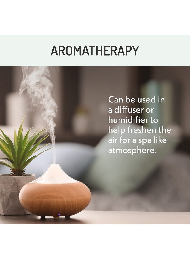 Eve Hansen Organic Tea Tree Oil (4oz) | Melaleuca Alternifolia | Pure Tea Tree Essential Oil for Skin, Scalp, Nails and Aromatherapy - Image 4